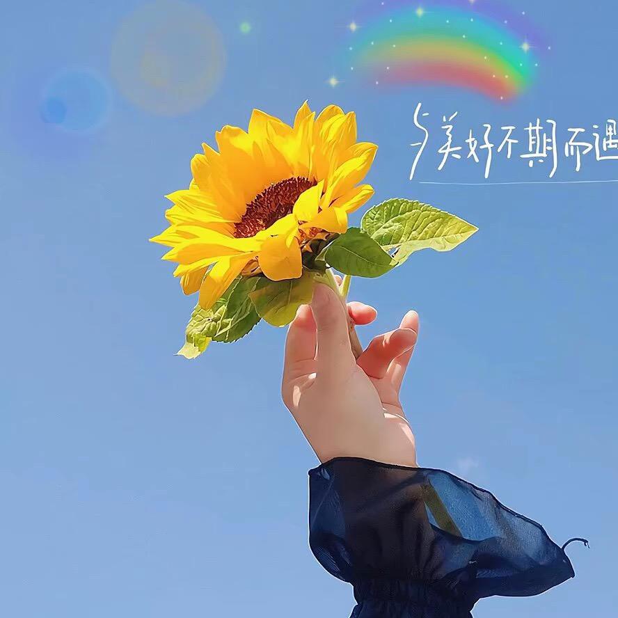 屙耱尜尜