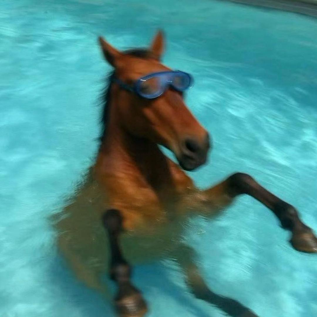 香蕉西瓜茄子狗