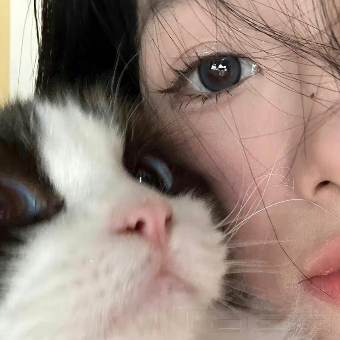 夕夕子🐇