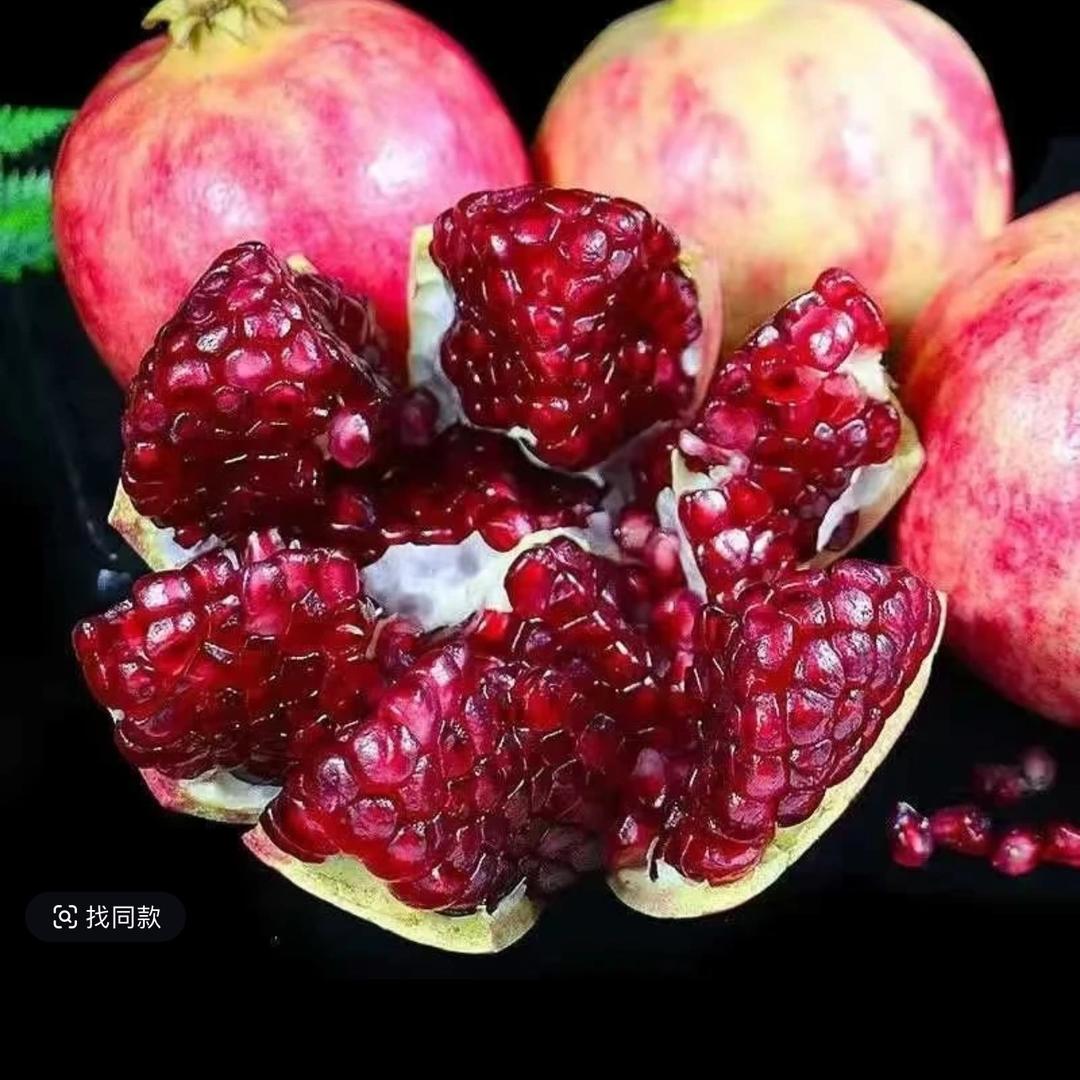 阿宝的初心
