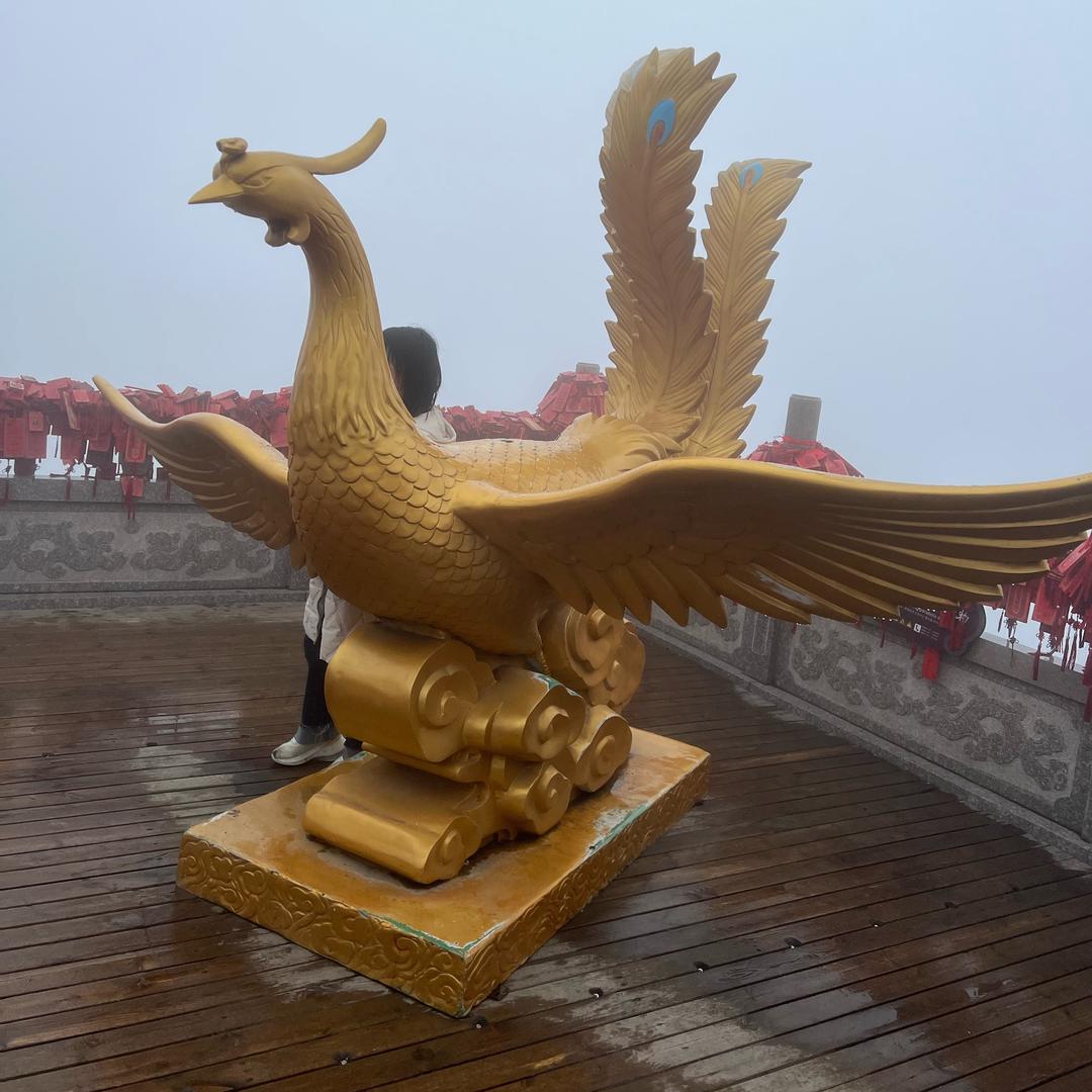 人走茶凉