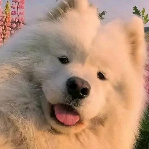 心冷成疾久不医