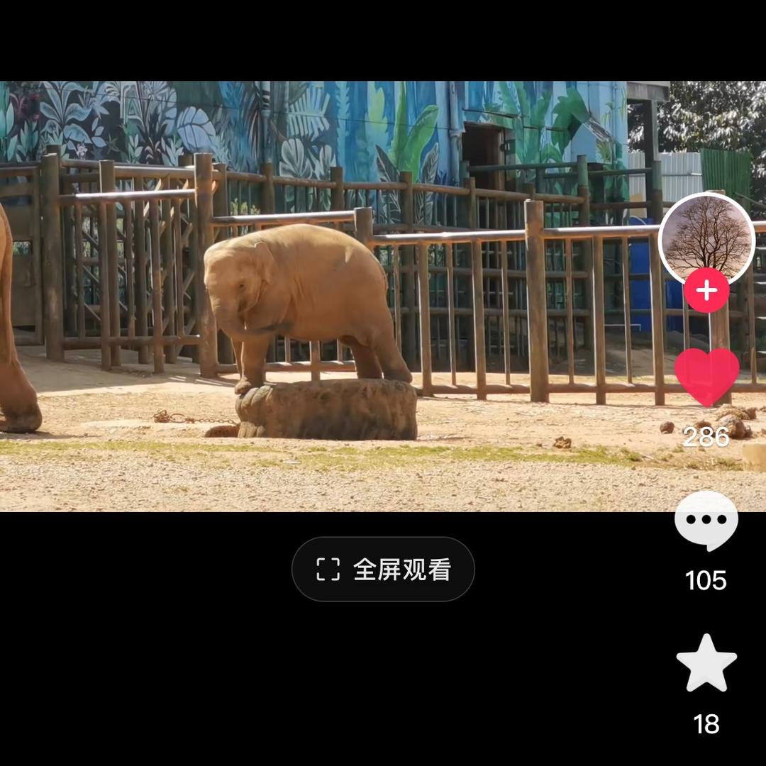 用户太阳月亮