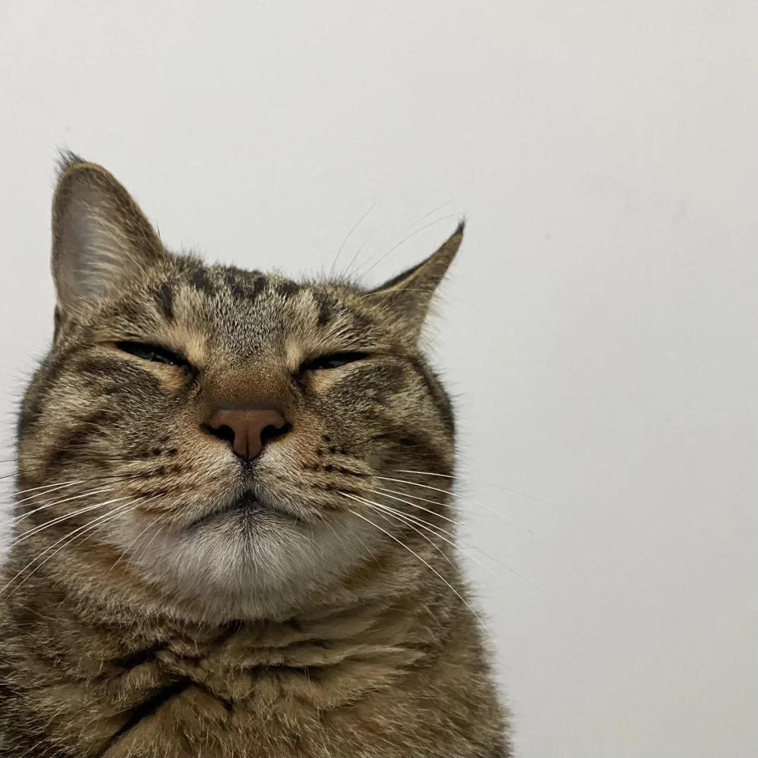 🌈我就很开心啊