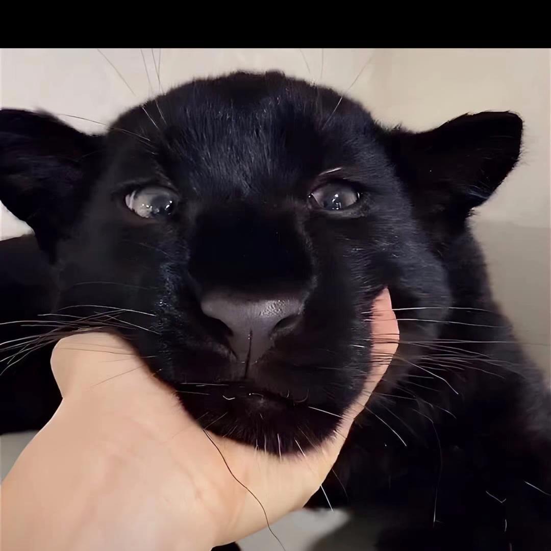 ㅤㅤ  Y    ㅤ