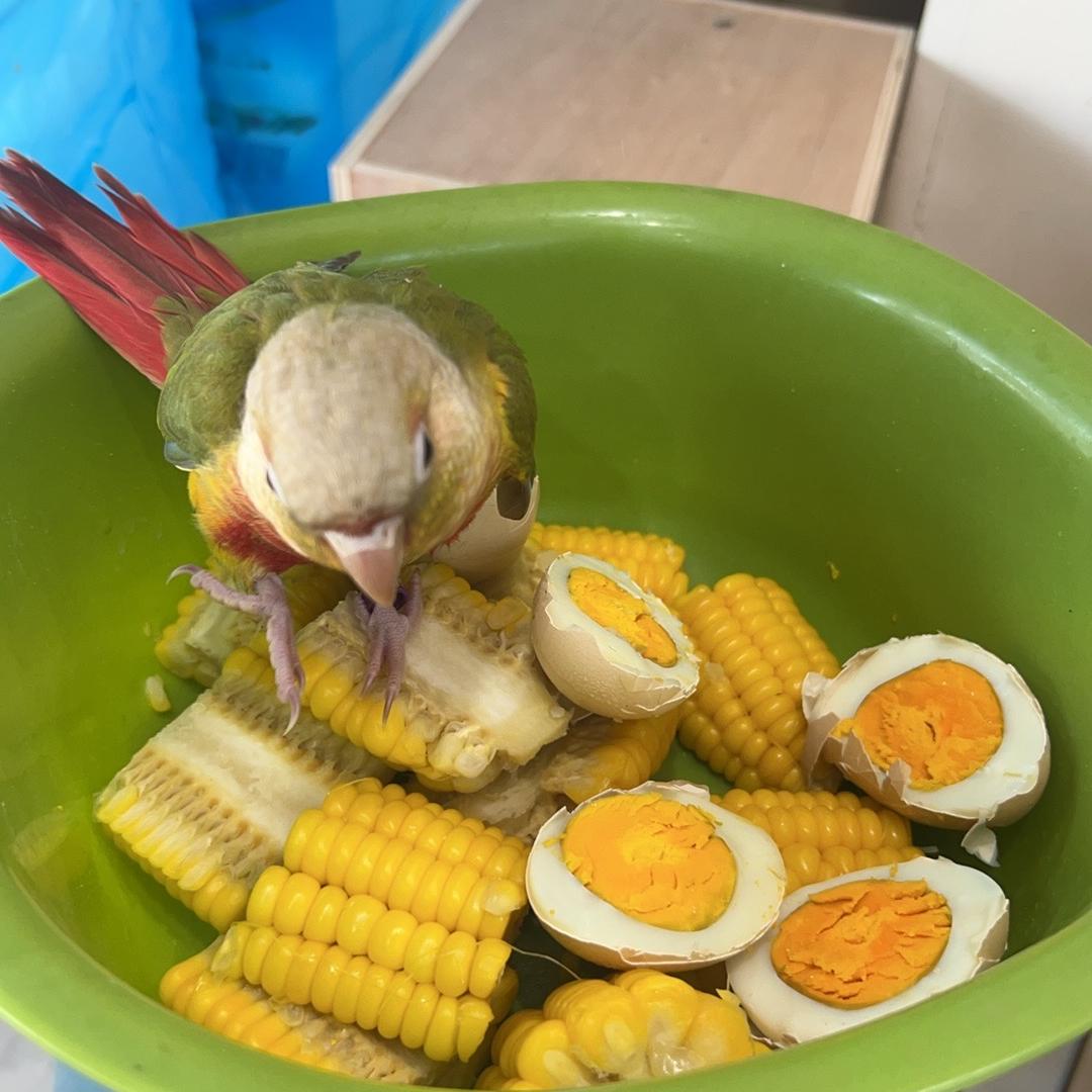阳哥潮牌男装