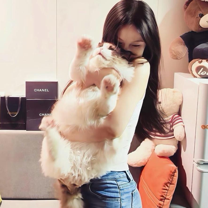 许个小心愿