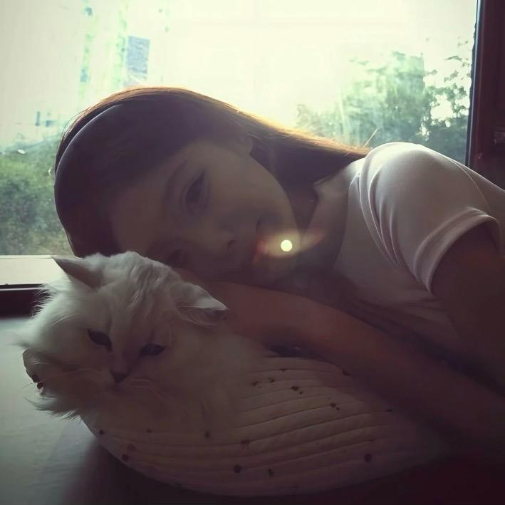 为什么不能好好对我