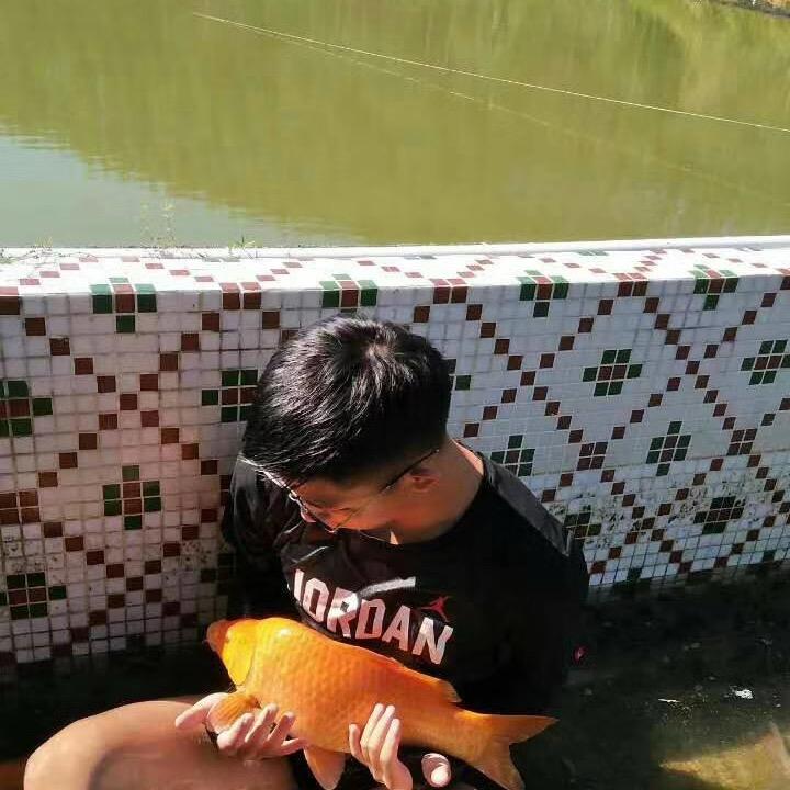 如鱼得水