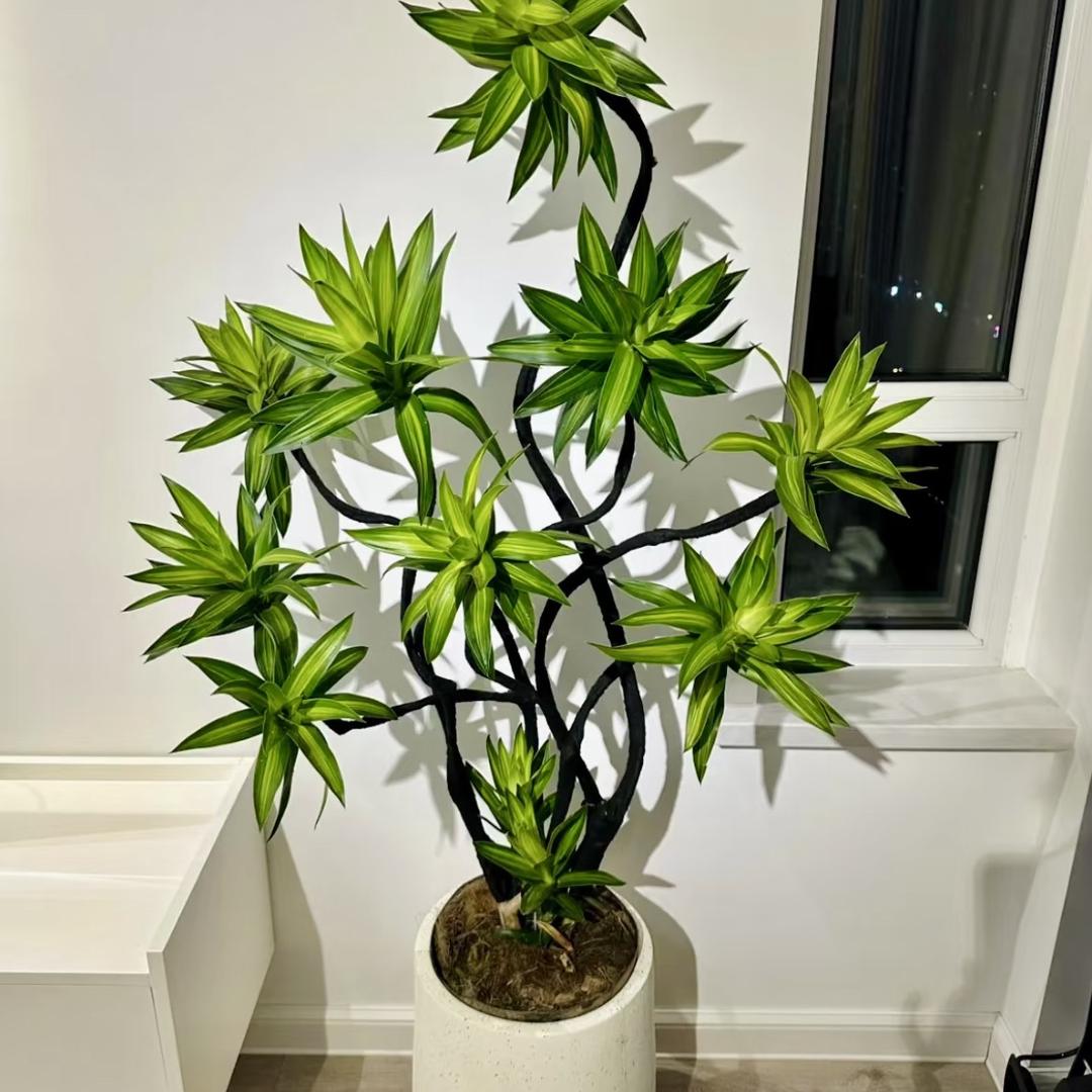 花粤园艺