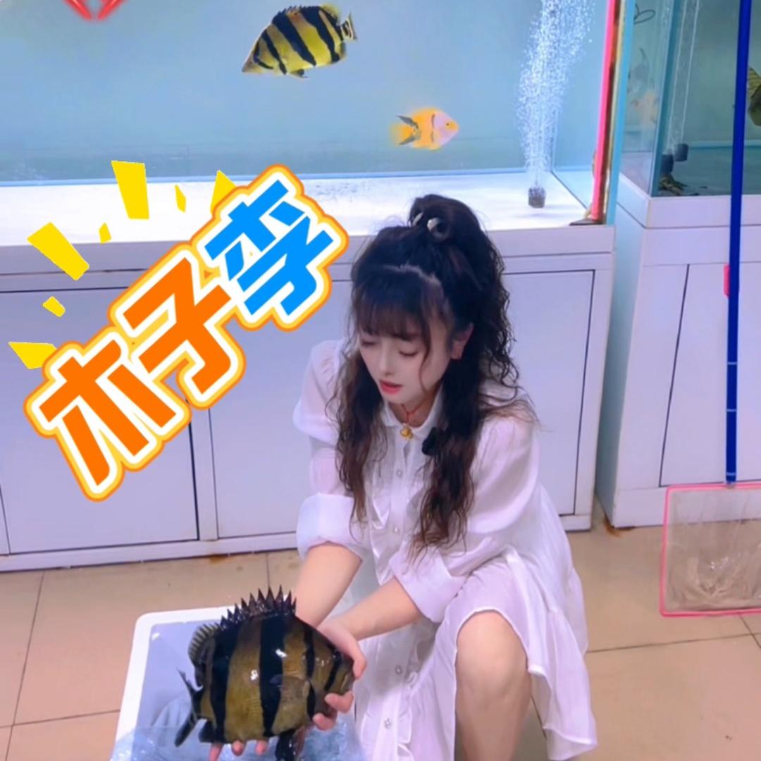 虎鱼木子李