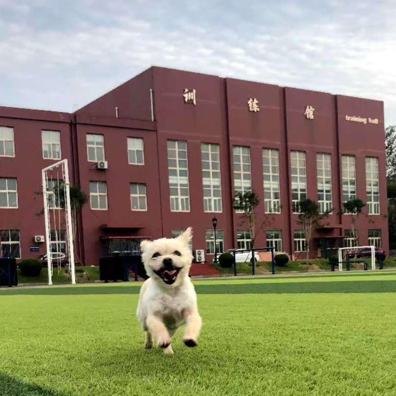 🐾咩咩🐾