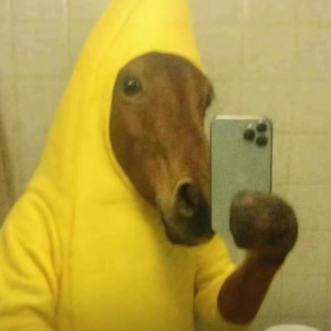 吧啦吧啦吧啦吧啦