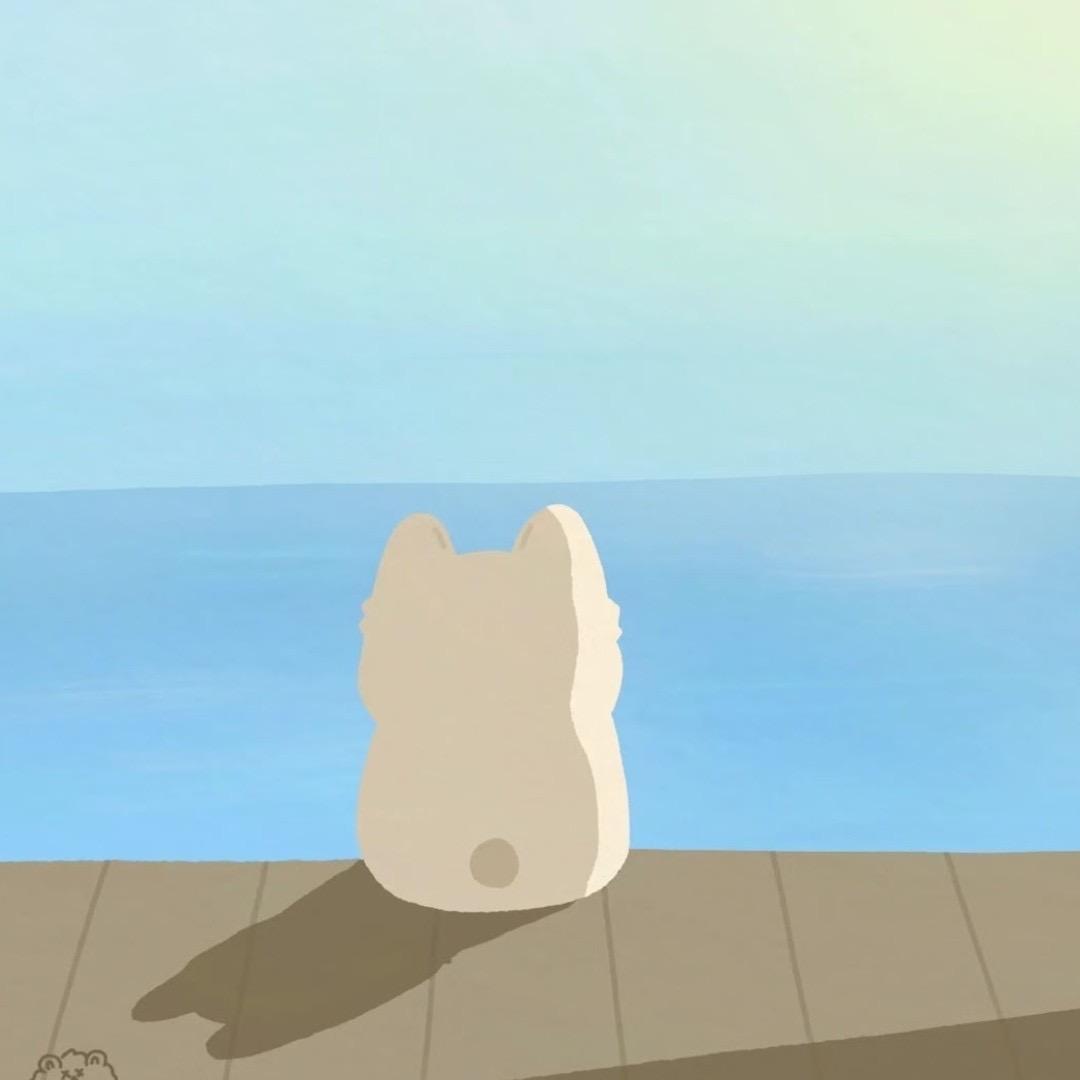 睡觉的时候不困💤