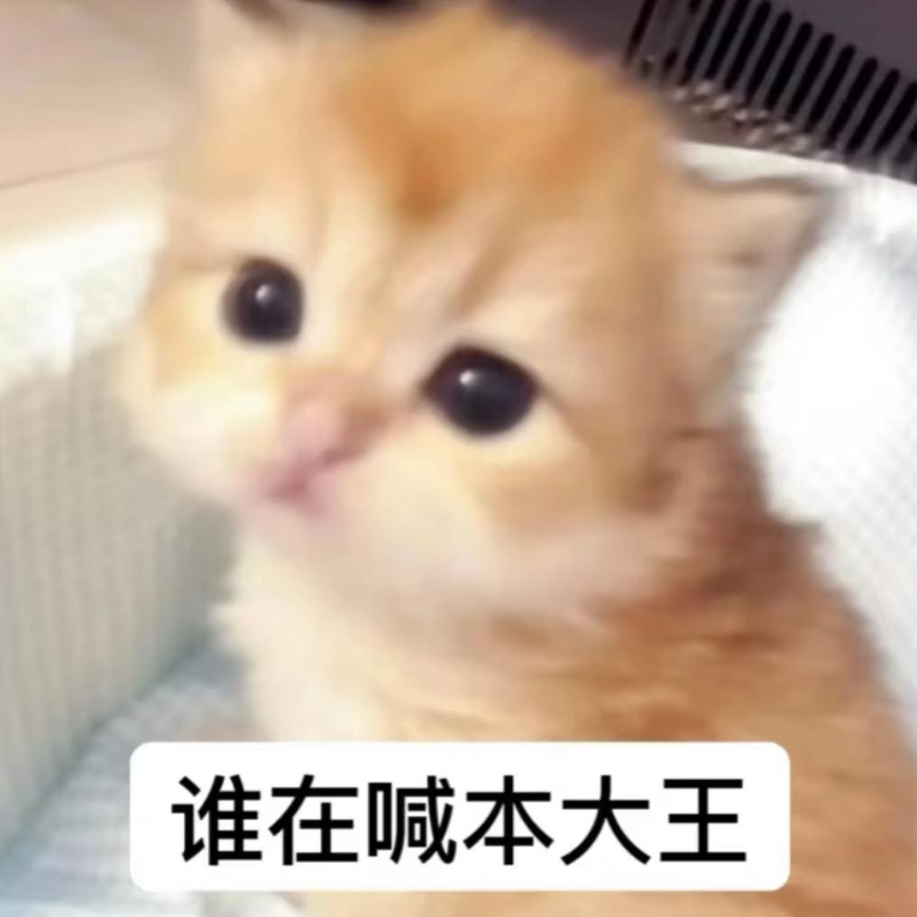 不吃芋泥