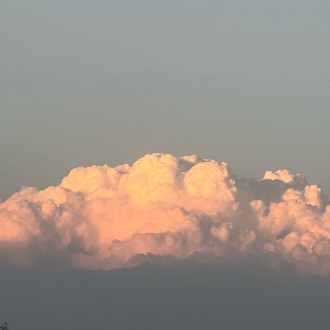 🌈半杯清茶🌈