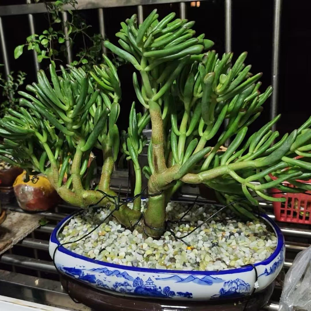 往后余生一切安好
