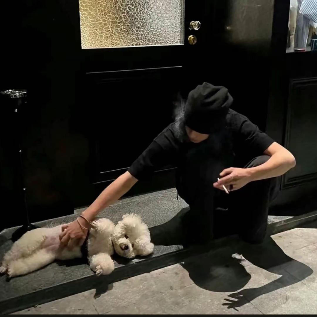 什么好想早睡