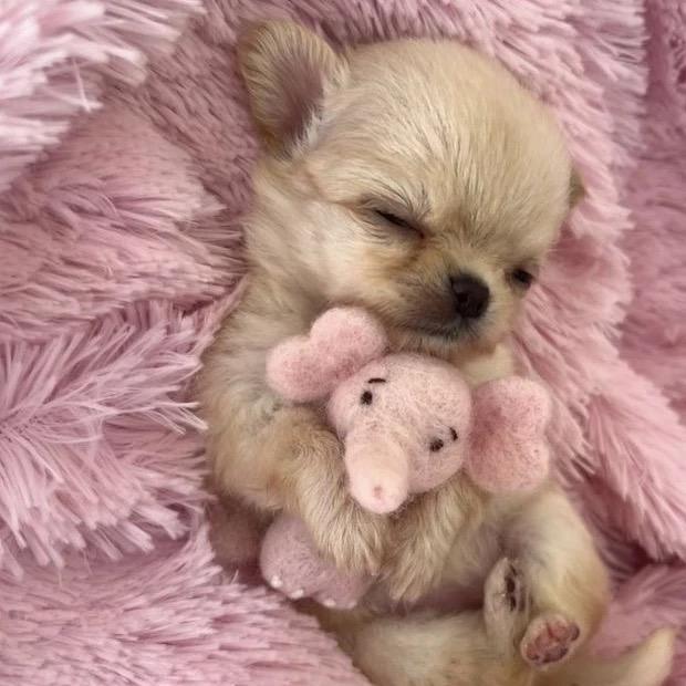 忧郁白富美（老天爷眷顾版）