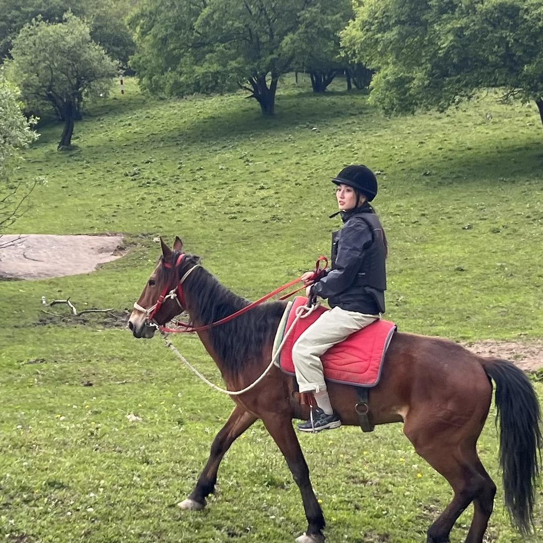 洛阳常漂亮围挡租赁