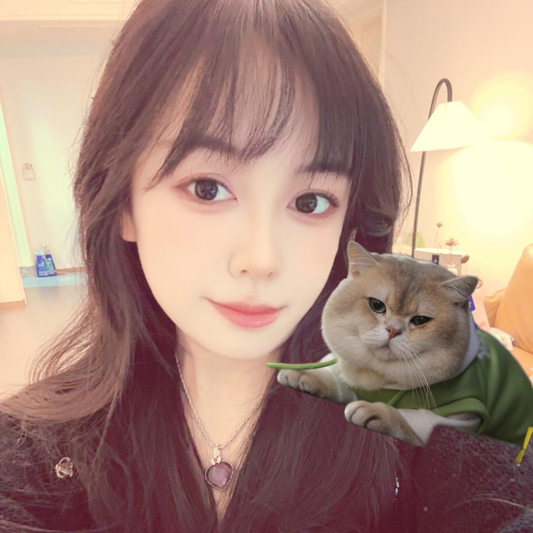 鼓捣猫宁(猫砂猫粮冻干双12活动)