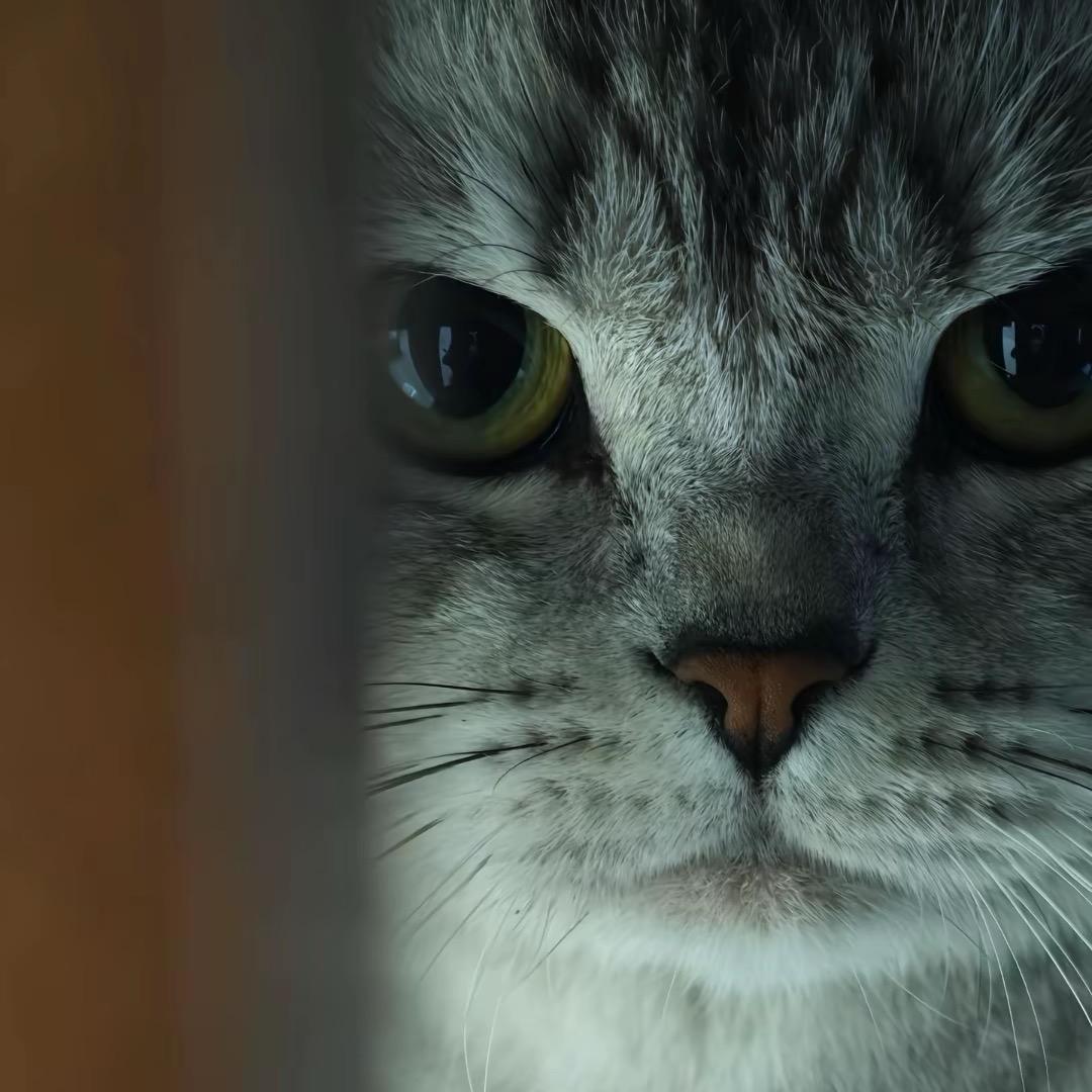 mi