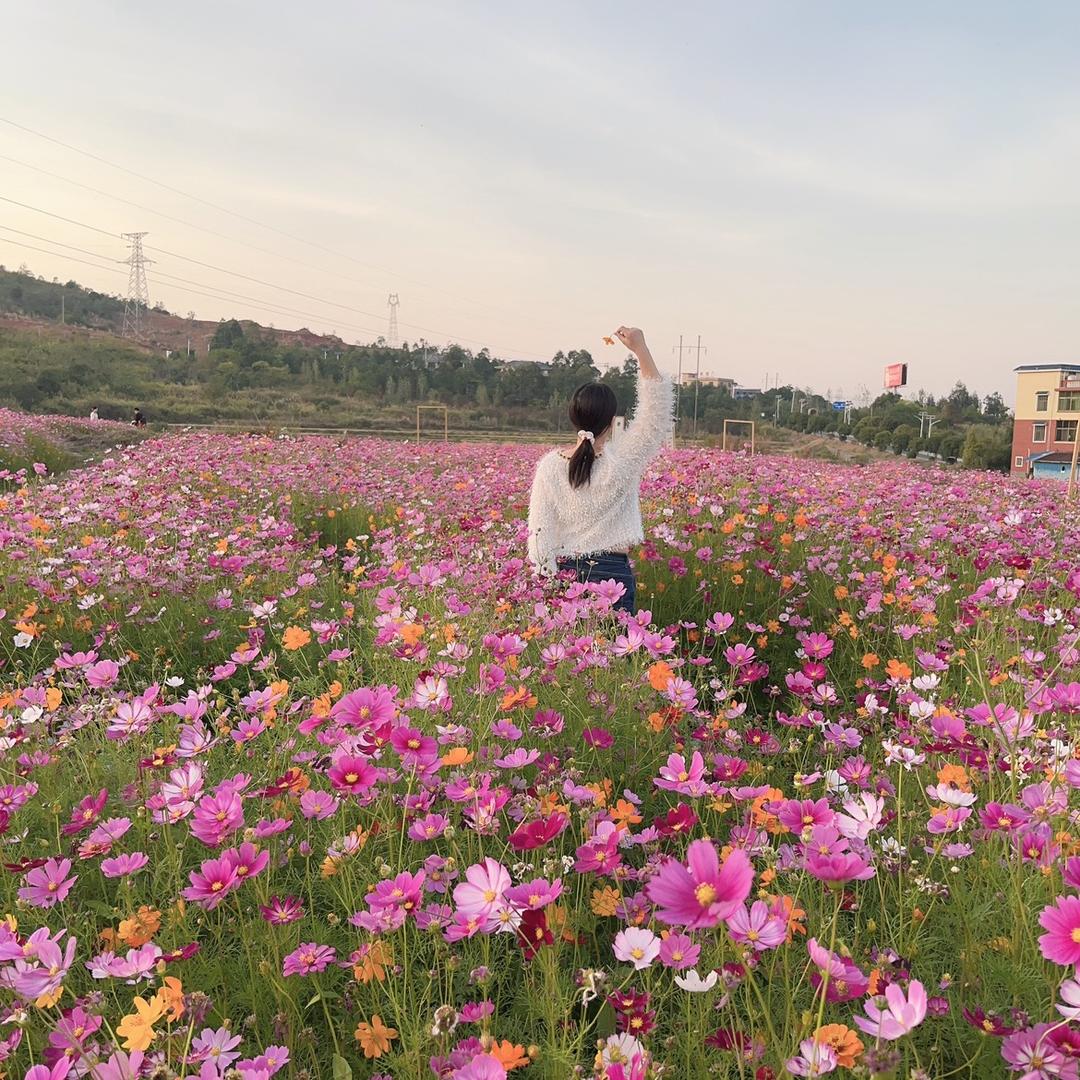吴花果🎊