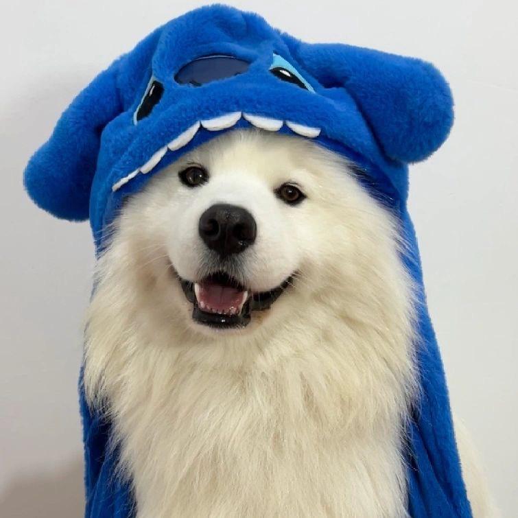 Stronger佩祺