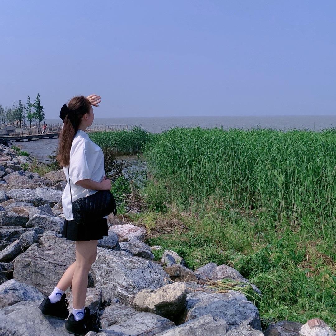 @杨杨