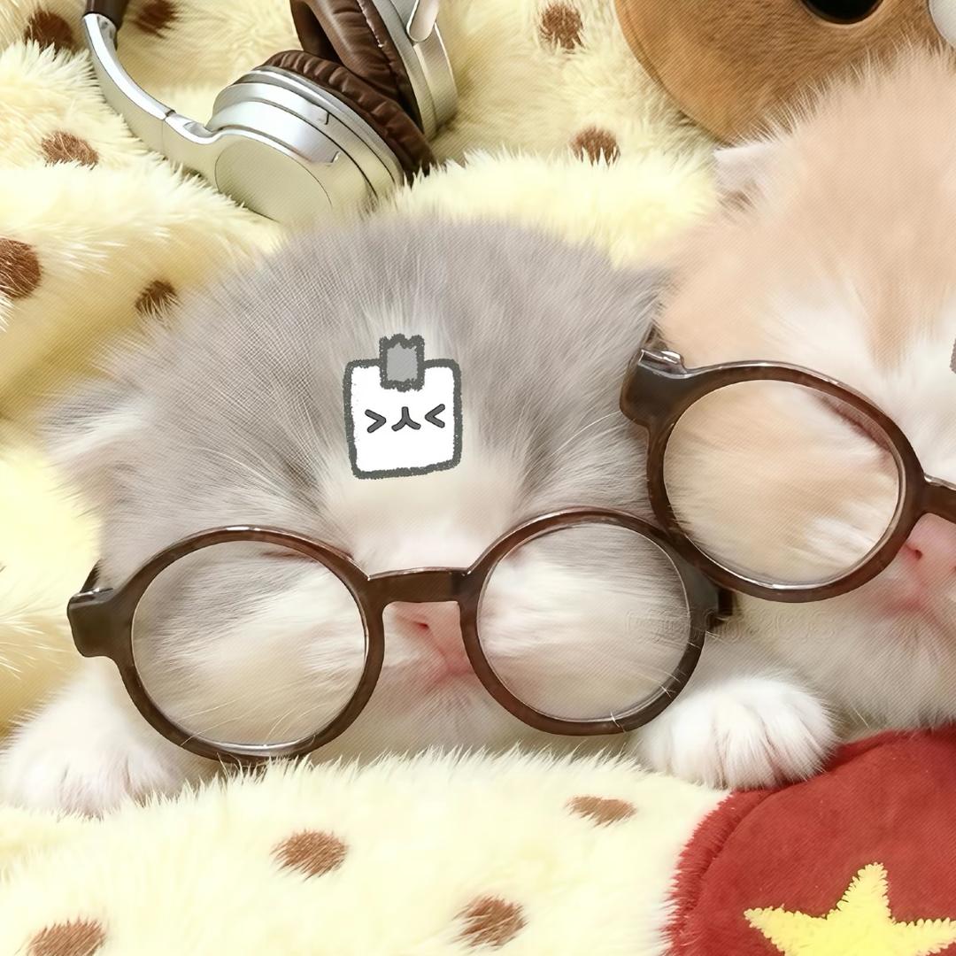 豆花羊羊羔