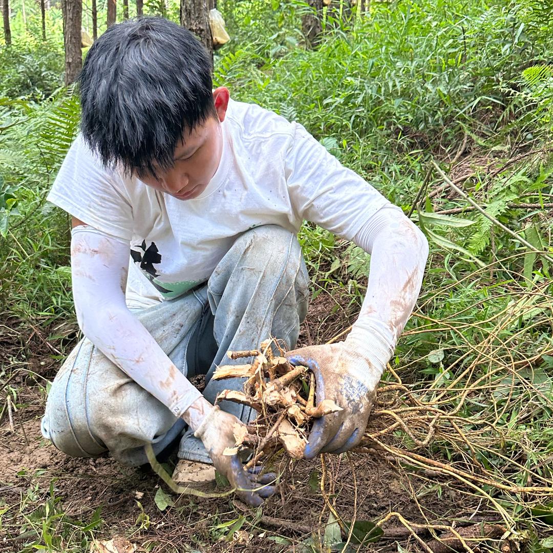 连州市山野农产品店