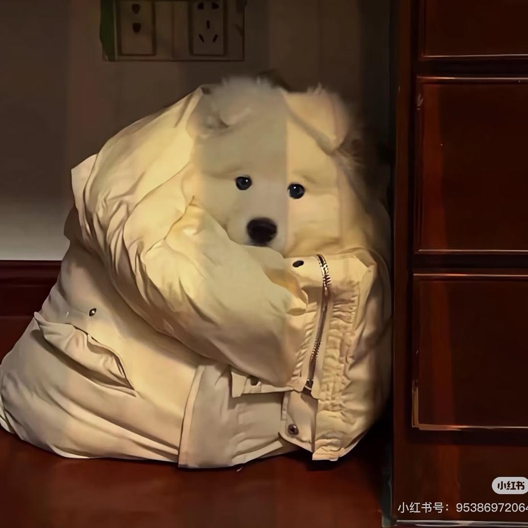 🎧楠