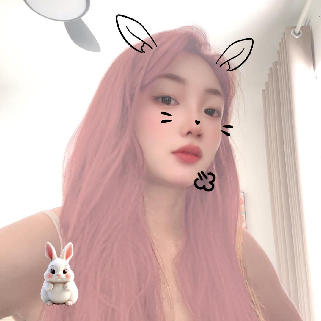 哈喽👋