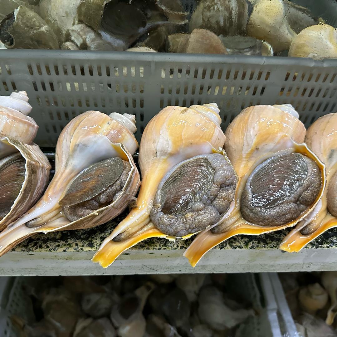 通达海产
