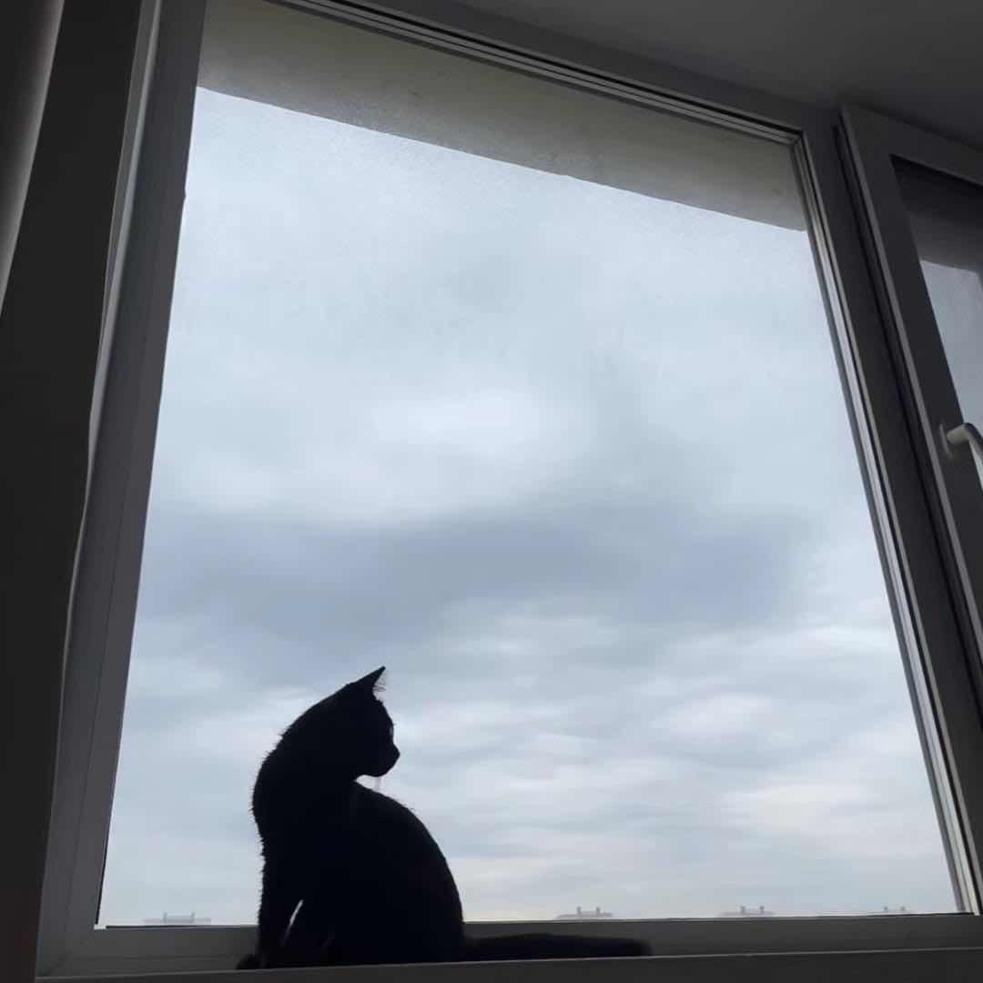 朝夕