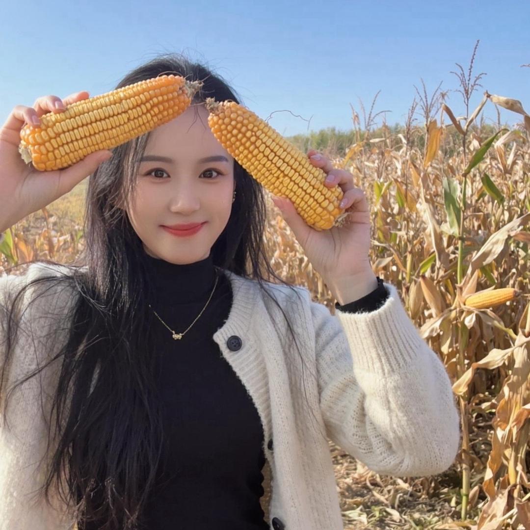 哲小葛