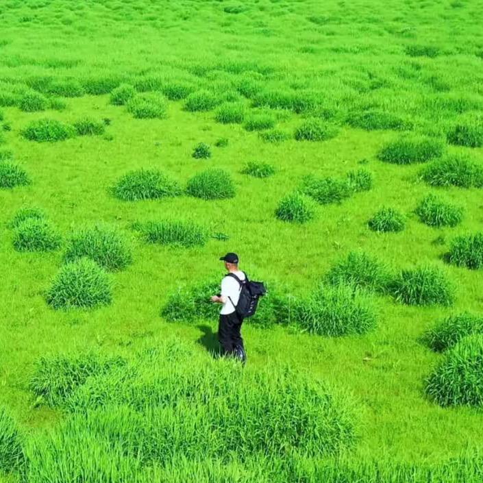 山河绘梦行