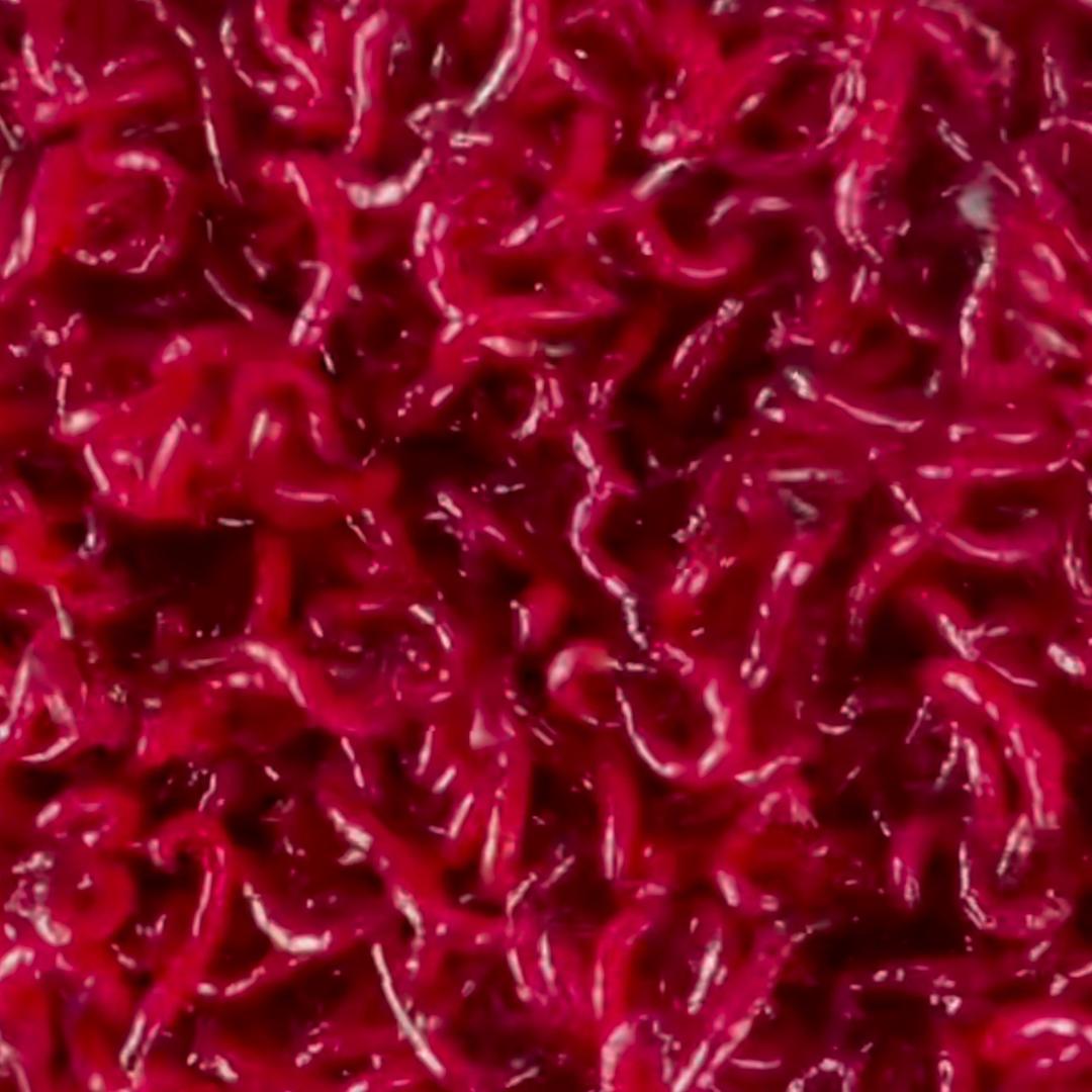 哈尔滨红虫批发