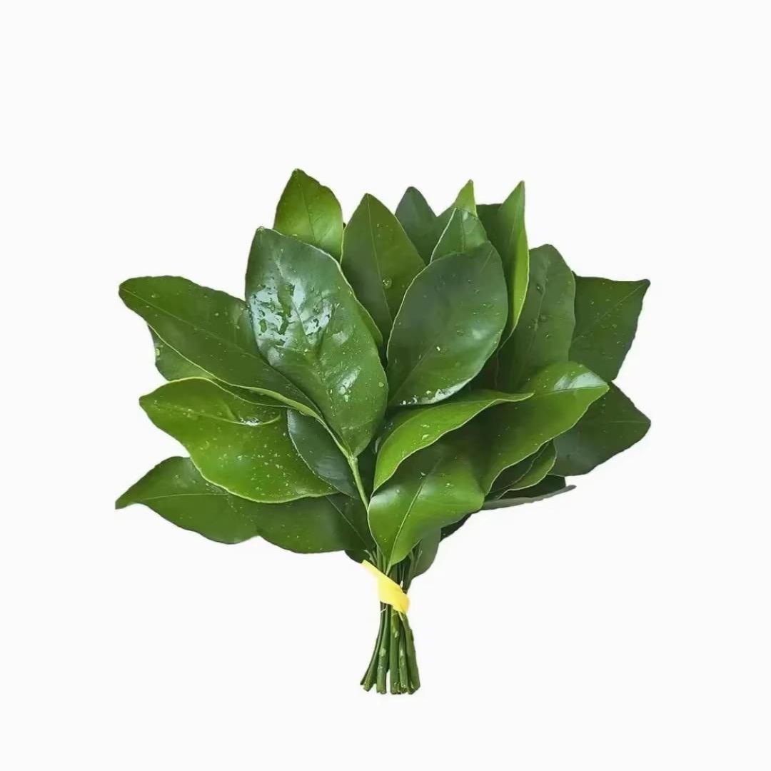 大头娃娃.