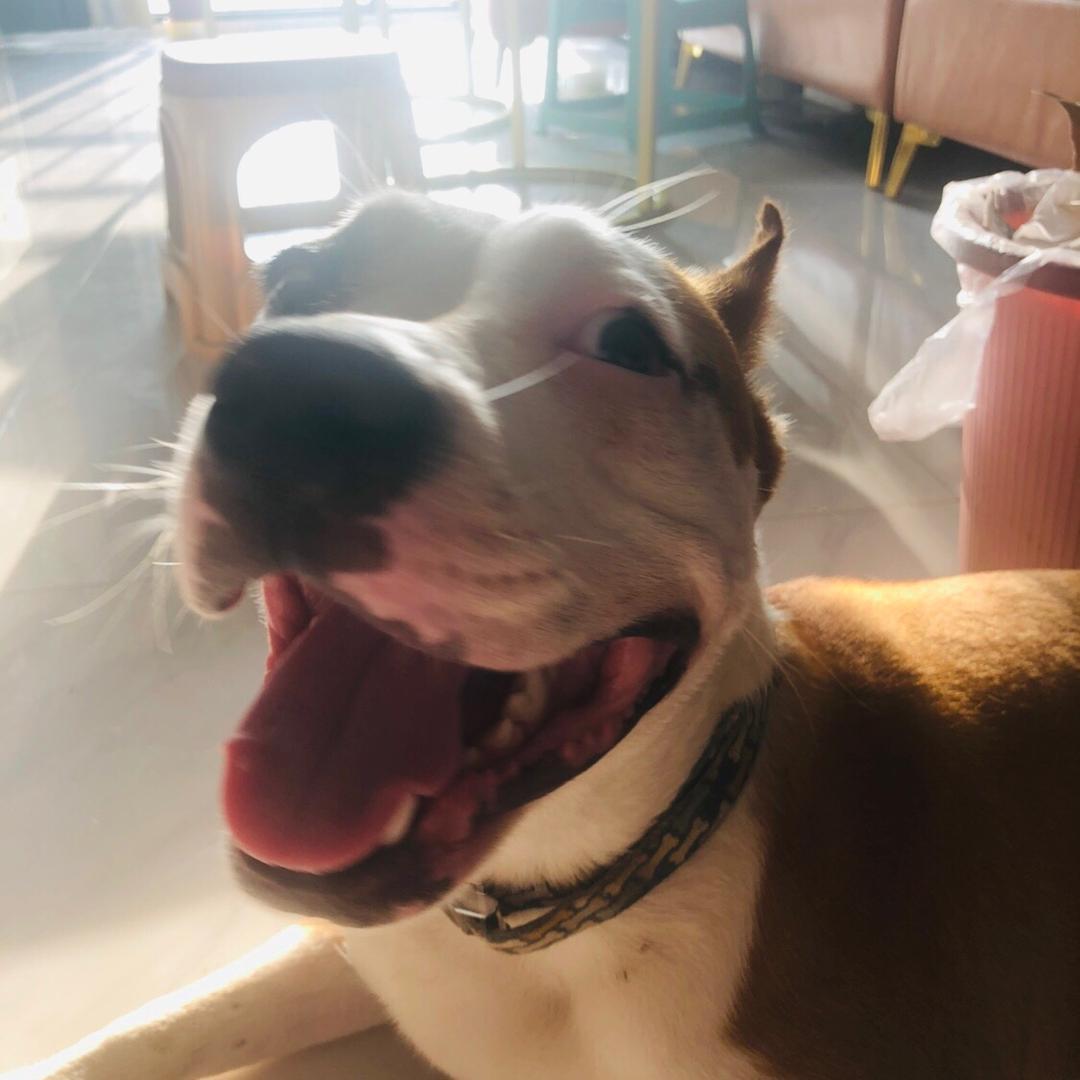 华南地区嗪酮除草剂代理商