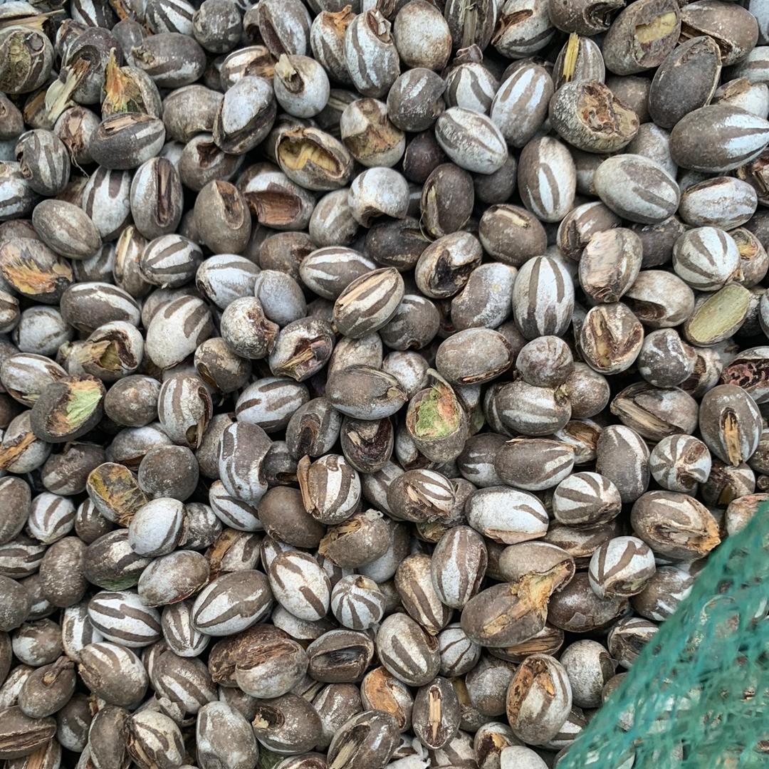 海城市析木镇罗君山货店
