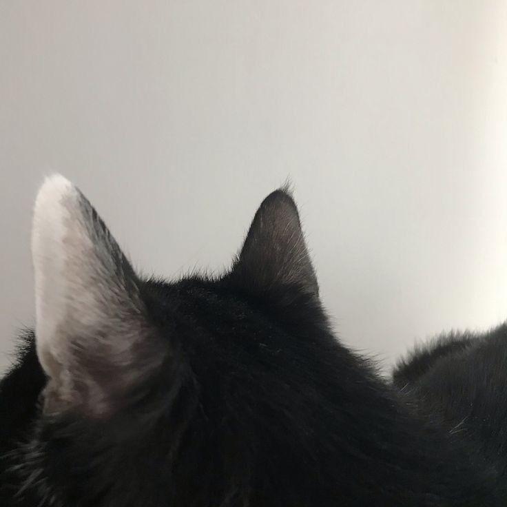 別煩我