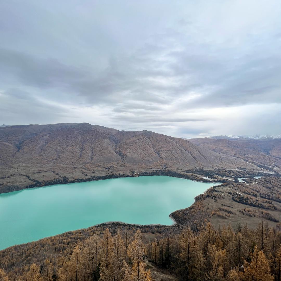 简丹（炸鱼哥）