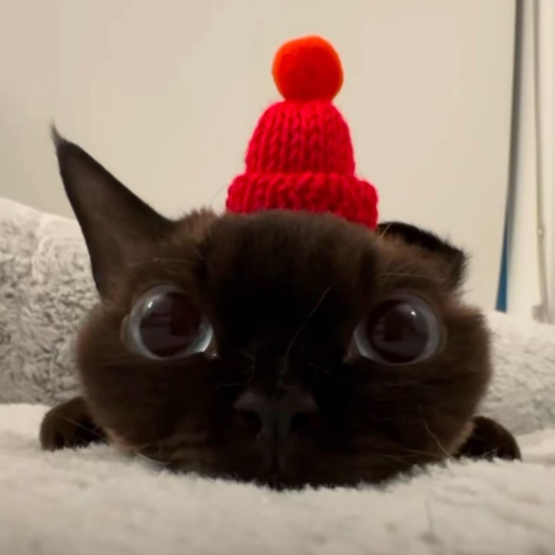 谁也不是傻子～