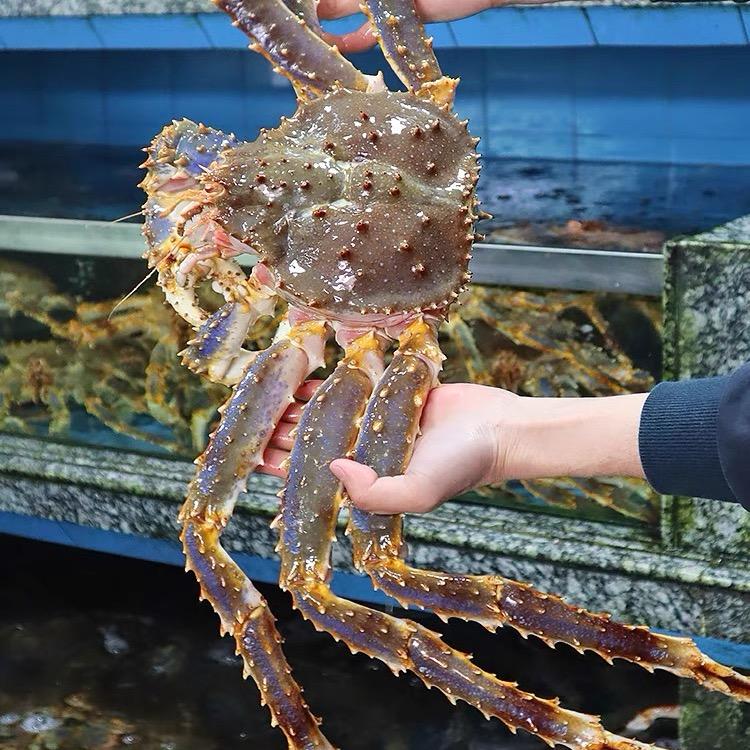 来品鲜海鲜水产