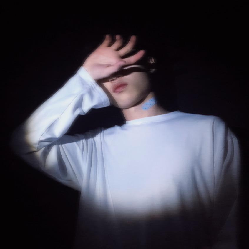 泽羽🪶