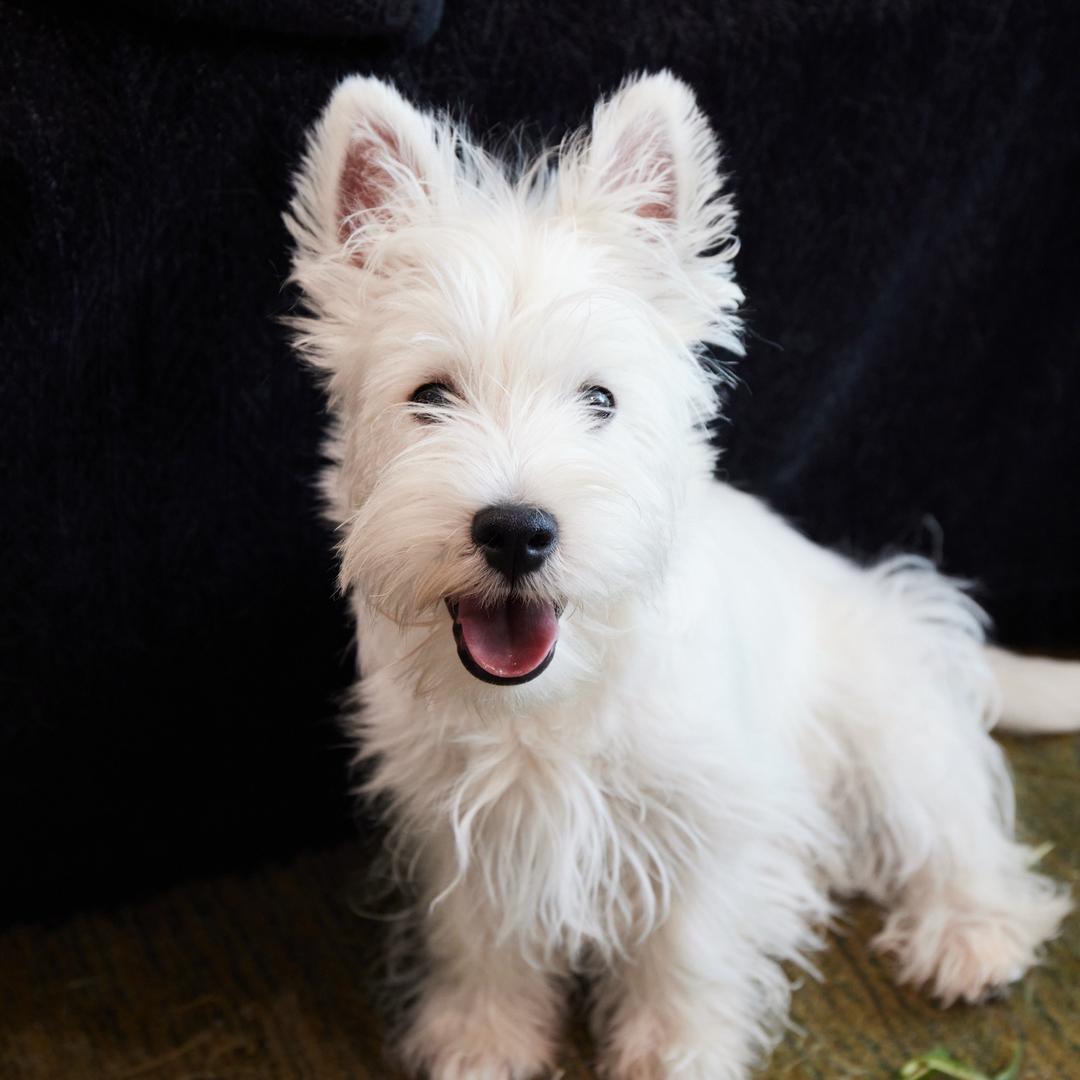 十八要考大学的