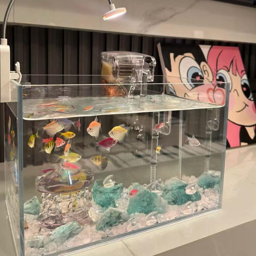 鱼乐趣水族馆零售