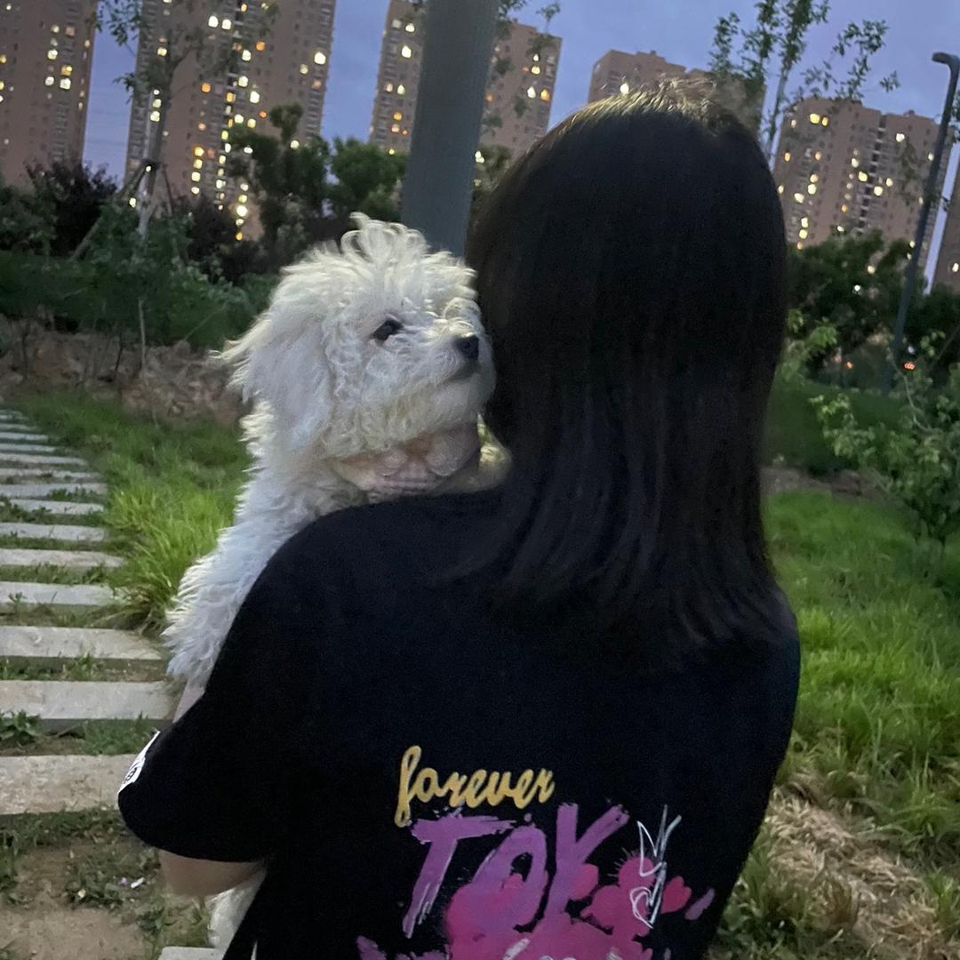 瑞马观唐·小付