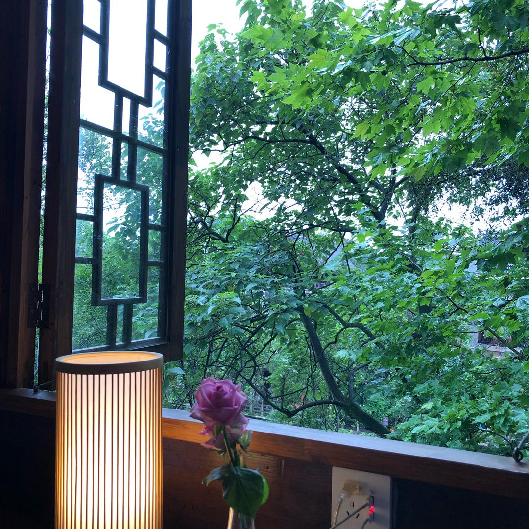 车前草